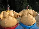 Sumo2.webp